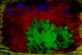 Beautiful abstract image where the colors blue red and green are combined providing light and beauty