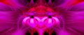 Beautiful abstract intertwined 3d fibers forming a shape of sparkle, flame, flower, interlinked hearts. Pink, purple, maroon and Royalty Free Stock Photo