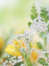 Beautiful abstract light and blurred soft background with flower Royalty Free Stock Photo