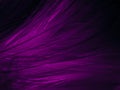 Beautiful abstract light pink feathers on black background, purple feather frame texture on pink texture pattern and pink backgrou Royalty Free Stock Photo