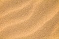 Beautiful Abstract Nature Sandy Background, Close up