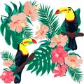 Beautiful abstract pattern with black toucans pattern on white background for paper design. Palm trees with exotic flowers. Royalty Free Stock Photo