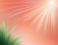 Beautiful abstract peach green gradient background with light rays, smooth lines, tropical leaves and grass. Delicate