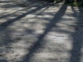 Beautiful abstract picture with tree shadows on the ground Royalty Free Stock Photo