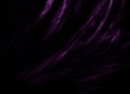Beautiful abstract purple feathers on dark background, black feather texture on dark pattern and purple background, colorful feath Royalty Free Stock Photo