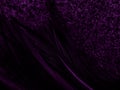 Beautiful abstract purple feathers on dark background, black feather texture on dark pattern and purple background, colorful feath Royalty Free Stock Photo