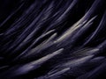 Beautiful abstract purple feathers on dark background, black feather texture on dark pattern and purple background, colorful feath Royalty Free Stock Photo