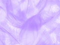 Beautiful abstract purple feathers on white background, gray feather texture on dark pattern and purple background, colorful feath