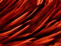 Beautiful abstract red feathers on dark background and soft white feather texture on red pattern and red background, pink feather Royalty Free Stock Photo