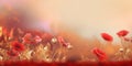 Beautiful abstract red and gold misty morning photo floral design background banner. generative ai AIG32