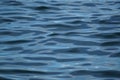 Beautiful abstract scene of blue sea water ripple freezing motion with sunlight reflection, gradient shade and shadow Royalty Free Stock Photo
