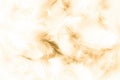 Beautiful abstract texture close up color white gold brown and yellow feathers background and wallpaper Royalty Free Stock Photo