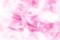 Beautiful abstract texture close up color white purple and pink feathers background and wallpaper Royalty Free Stock Photo