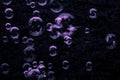 Beautiful abstract texture color white pink and purple bubbles on the black darkness background and wallpaper