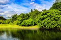 Beautiful abstract texture lake trees plants and forest landscape in the public nature green city parks and gardens