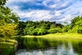 Beautiful abstract texture lake trees plants and forest landscape in the public nature green city parks and gardens