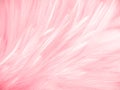 Beautiful abstract white and pink feathers on white background and soft white feather texture on pink pattern and pink background,