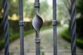 Beautiful abstract wrought iron gate