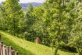 Beautiful abundant natural shades of spring green mountain. Spring colours in the mountain forest. Romania, Valea Doftanei