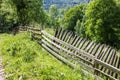 Beautiful abundant natural shades of spring green mountain. Spring colours in the mountain forest. Romania, Valea Doftanei Royalty Free Stock Photo