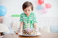 Beautiful adorable four year old boy in green shirt, celebrating