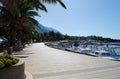 Beautiful Adriatic Sea bay with pines in Croatia Royalty Free Stock Photo