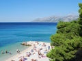 Beautiful Adriatic Sea bay with pines in Croatia Royalty Free Stock Photo