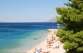 Beautiful Adriatic Sea bay with pines in Croatia Royalty Free Stock Photo