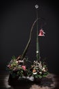 Beautiful advent wreath Royalty Free Stock Photo