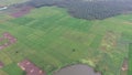 Beautiful Aerial/drone view of rice paddy fields in the slawi city indonesia