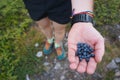 Beautiful aerial shot of the lower body of a man with a handful of berries in a grassy terrain