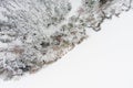 Beautiful aerial top-down view of snow covered pine forests and a forest stream winding among trees. Rime ice and hoar frost Royalty Free Stock Photo