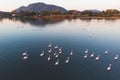 Beautiful aerial vibrant view of Korission Lake Lagoon landscape, Corfu island, Greece with pink flamingos flock, Ionian sea beach