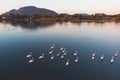 Beautiful aerial vibrant view of Korission Lake Lagoon landscape, Corfu island, Greece with pink flamingos flock, Ionian sea beach