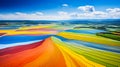 Beautiful aerial View of colorful fields landscape in morning mist with sun rays Royalty Free Stock Photo