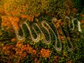 Beautiful aerial view of a curvy winding road with serpentine and colorful autumn trees Royalty Free Stock Photo