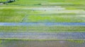 Beautiful aerial view of rice field scenery