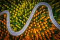 Beautiful aerial view of road between green and yellow pine tree forest in Thailand. Car moving on road Royalty Free Stock Photo