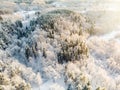 Beautiful aerial view of snow covered pine forests. Rime ice and hoar frost covering trees. Scenic winter landscape in Vilnius, Royalty Free Stock Photo