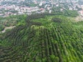 Beautiful aerial view on town and vineyards