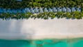 Beautiful aerial view of the tropical island beach with palm trees near ocean Royalty Free Stock Photo