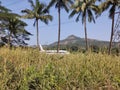 Beautiful aeroplane in farm with greenery mountain blue sky clouds