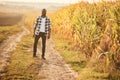 Beautiful African American man is in the agricultural field Royalty Free Stock Photo