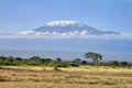 Beautiful African landscape on background of Kilimanjaro. Kenya. Africa. beautiful view of the African savanna and Royalty Free Stock Photo