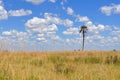 Nxai pan reserve,Botswana Royalty Free Stock Photo