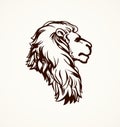 Lion. Vector drawing Royalty Free Stock Photo