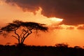 Beautiful african sunset Royalty Free Stock Photo