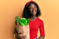 Beautiful african young woman holding paper bag with groceries looking positive and happy standing and smiling with a confident Royalty Free Stock Photo