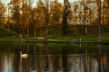 Beautiful afternoon light in park reflecting in pond Royalty Free Stock Photo