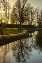 Beautiful afternoon light in public park Royalty Free Stock Photo